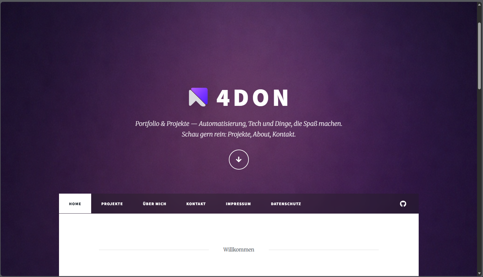 4don Portfolio Preview